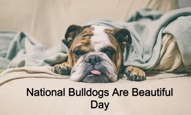 National Bulldogs Are Beautiful Day
