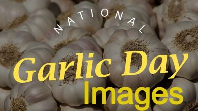 National Garlic Day Images