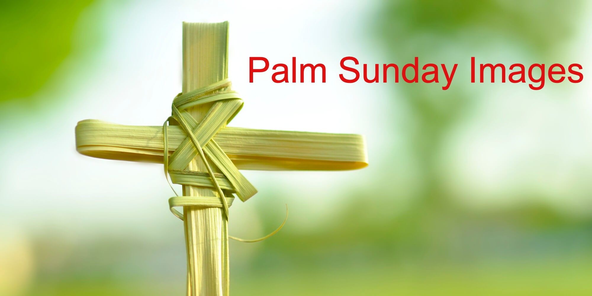 Palm Sunday New HD Images