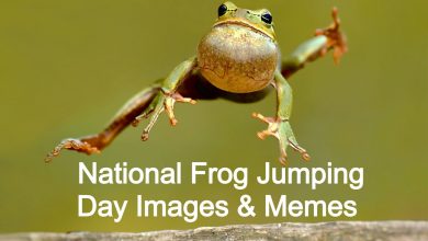 National Frog Jumping Day