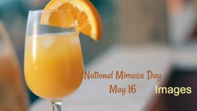 National Mimosa Day 2022 Images