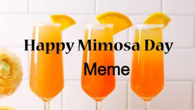 National Mimosa Day Meme