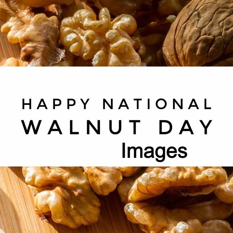 National Walnut Day Images